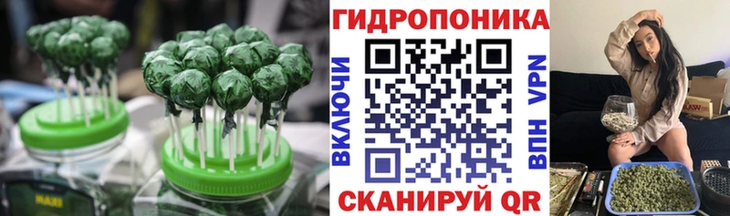 купить наркоту  Зеленогорск  Canna-Cookies конопля 