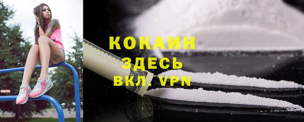 прущие грибы Гусь-Хрустальный
