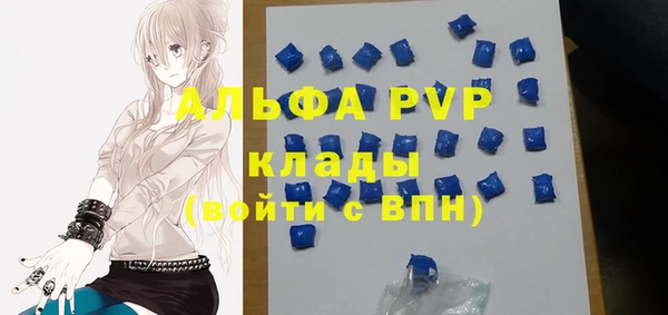 ECSTASY Чекалин
