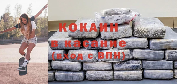 прущие грибы Гусь-Хрустальный