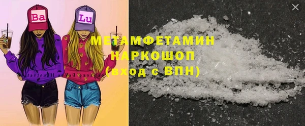 прущие грибы Гусь-Хрустальный