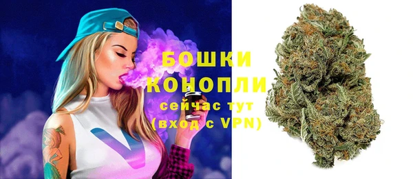 амф Дмитров