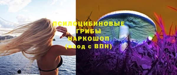 не бодяженный Гусев