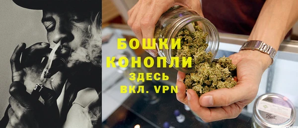 не бодяженный Гусев
