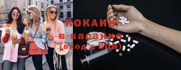 не бодяженный Гусев