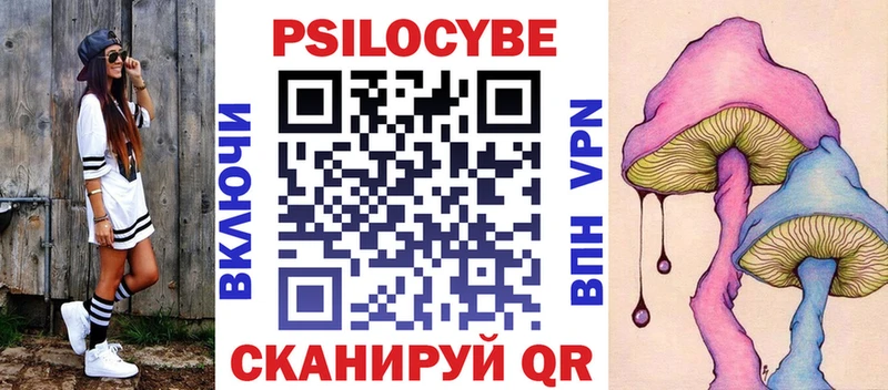 Псилоцибиновые грибы Cubensis  Зеленогорск 
