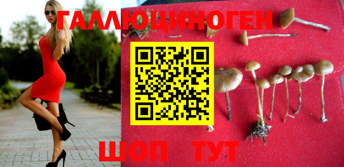 купить закладку  Вход с VPN  Зеленогорск  Псилоцибиновые грибы мухоморы 